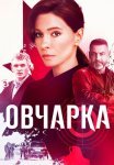Овчарка Сериал 2024 Все (1-16 Серии) подряд