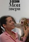 Мои звери 3 Сезон Сериал 2025 Все (1-4 Серии) подряд