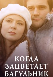 Когда зацветёт багульник Фильм 2010 Все (1-4 Серии) подряд