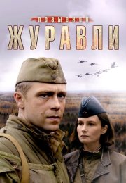 Позывной Журавли Сериал 2023 Все (1-4 Серии) подряд