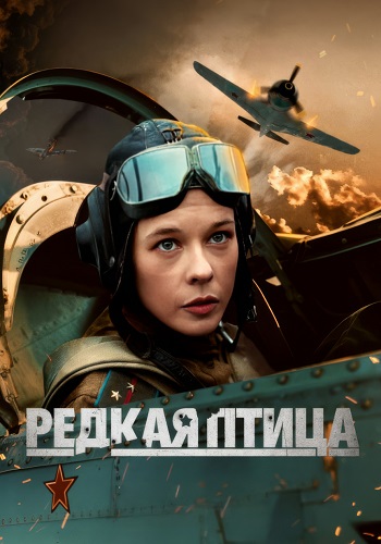 Редкая птица Сериал 2024 Все (1-4 Серии) подряд