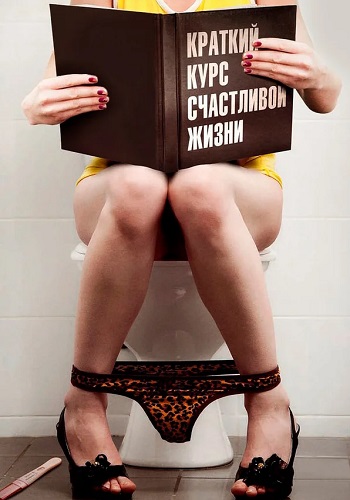 Краткий курс счастливой жизни Сериал 2012 Все (1-16 Серии) подряд